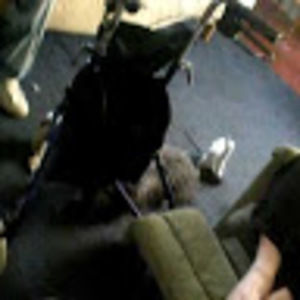 Meet your Posher, Rae